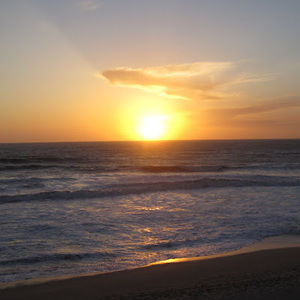 Meet your Posher, Farhad